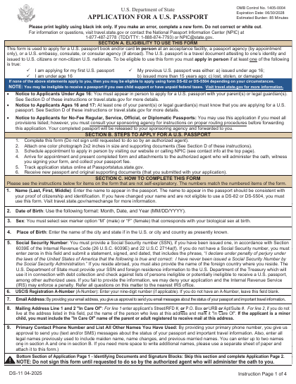 DS-11 form preview